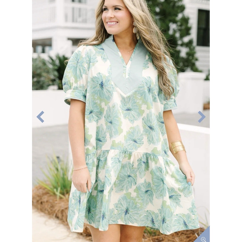 Chic Soul Women's Plus 2X Floral Ruffle Puff Sleeve Dress Vneck Pockets Travel
